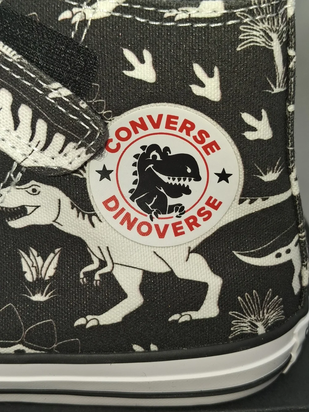 New  Big Kids Converse Chuck Taylor Dino Party high tops Dinosaurs Size 2